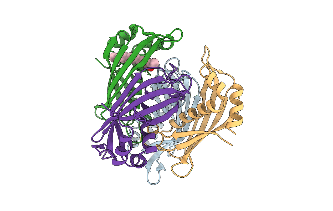 2XEM image