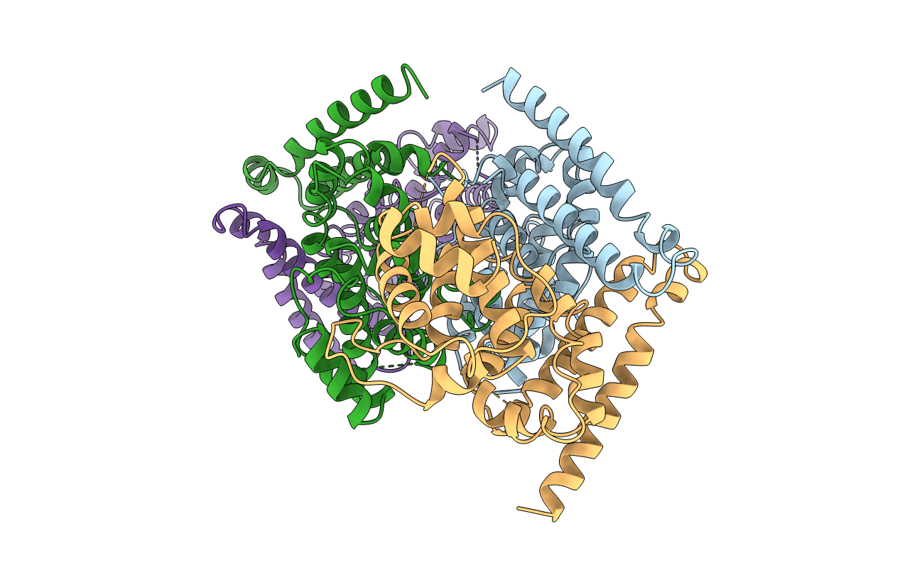 2XEQ image