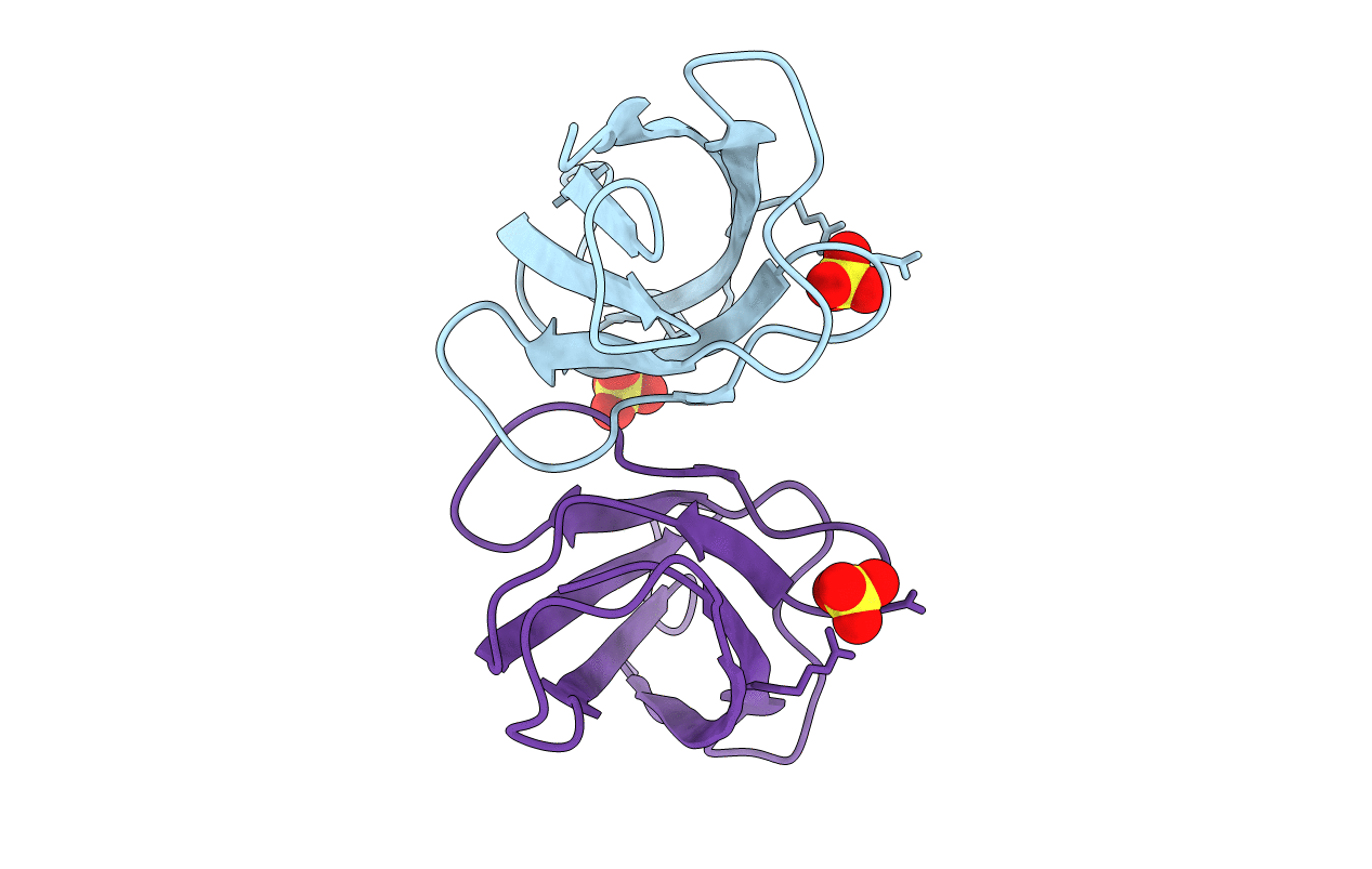 2XET image