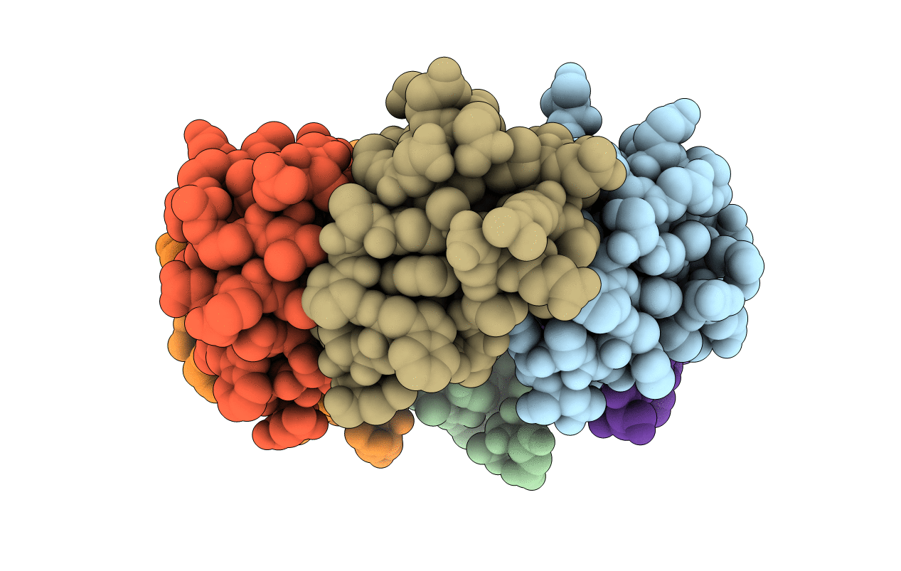 2XF5 image