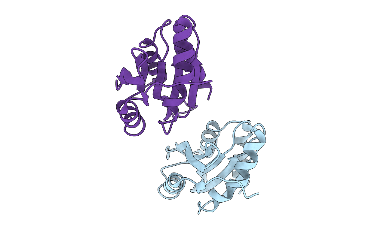2XFA image