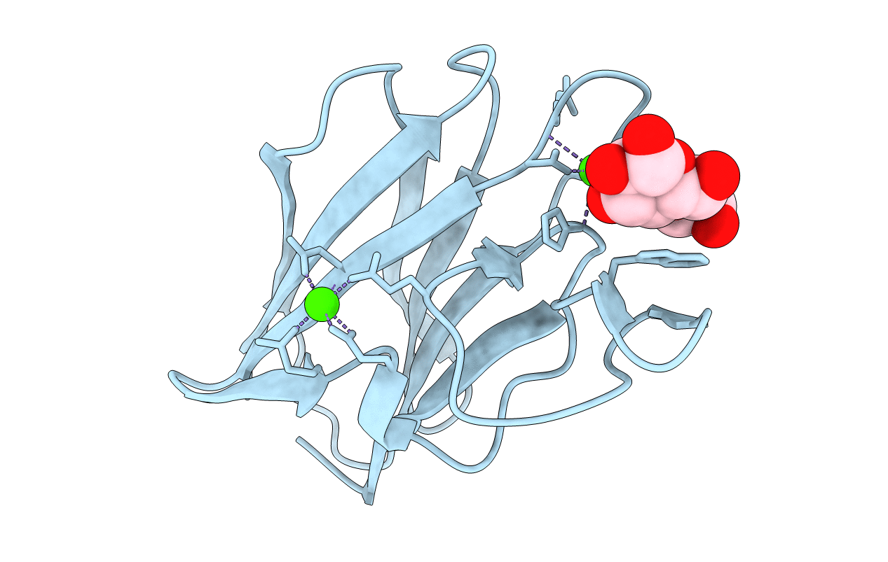 2XFE image