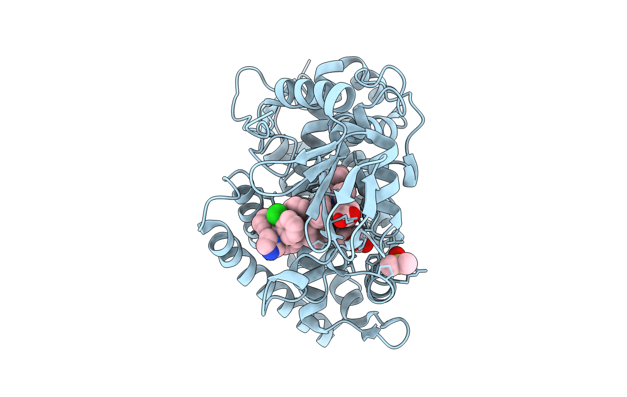 2XFH image