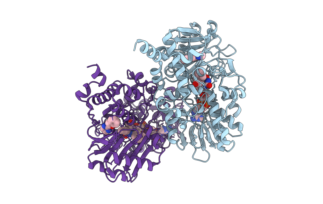 2XFO image