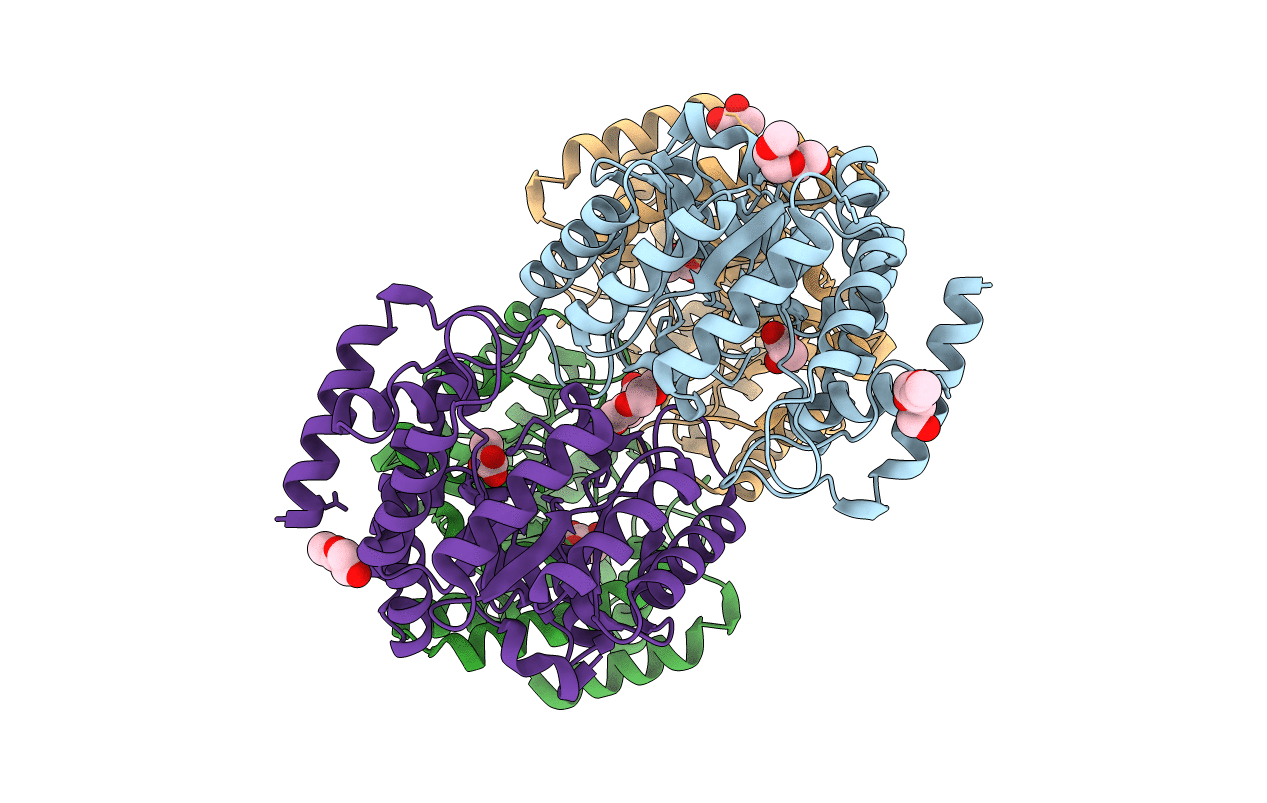 2XFW image