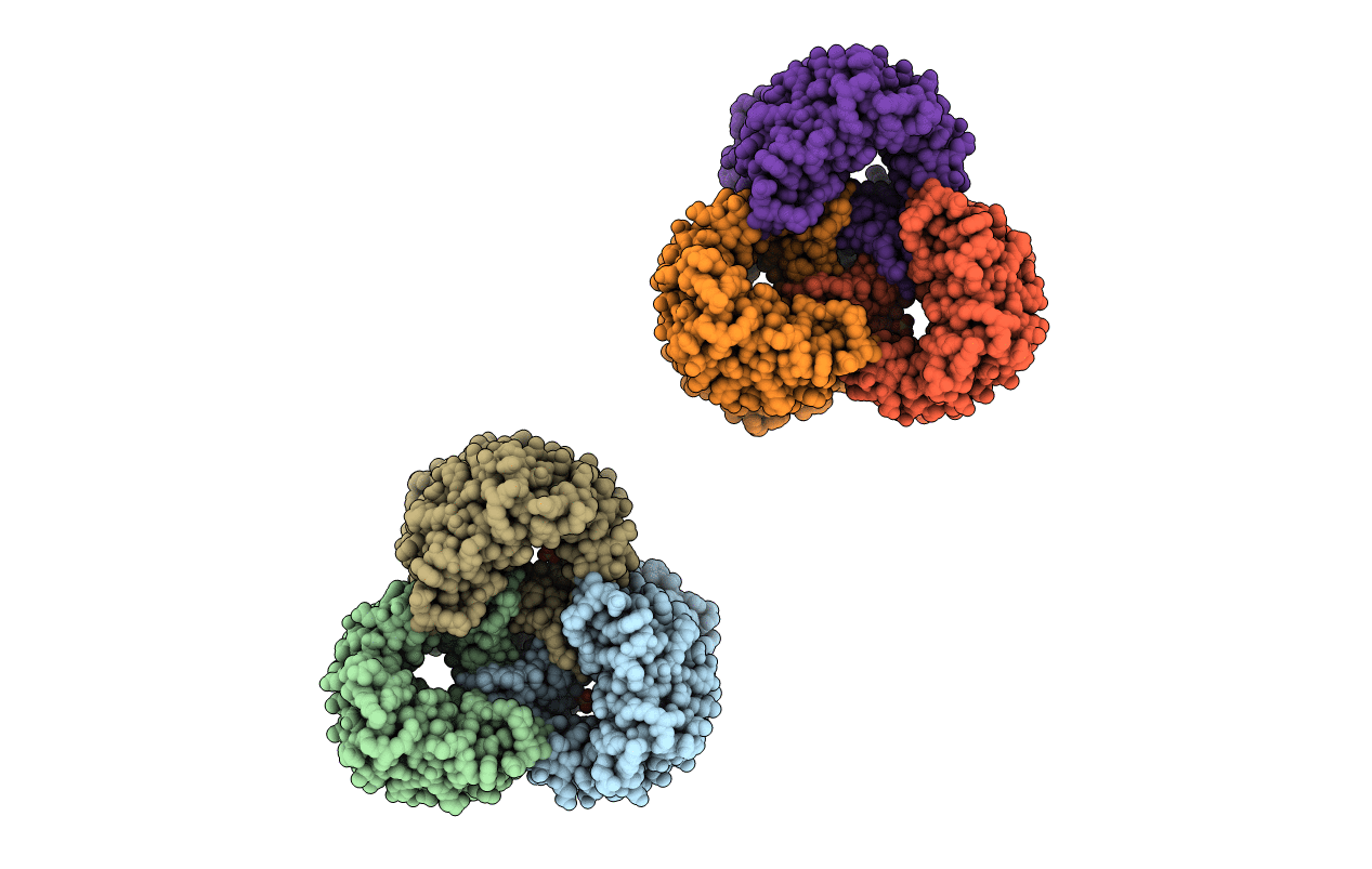 2XG6 image
