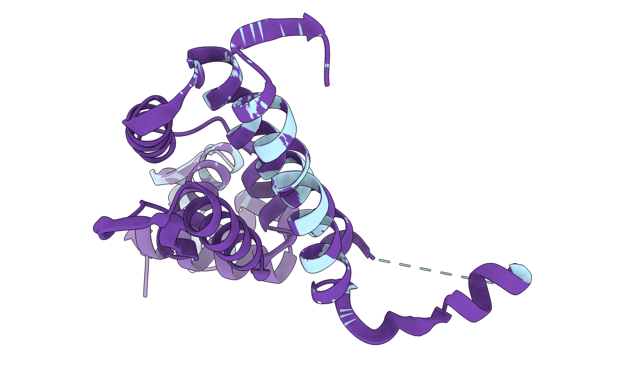 2XGC image