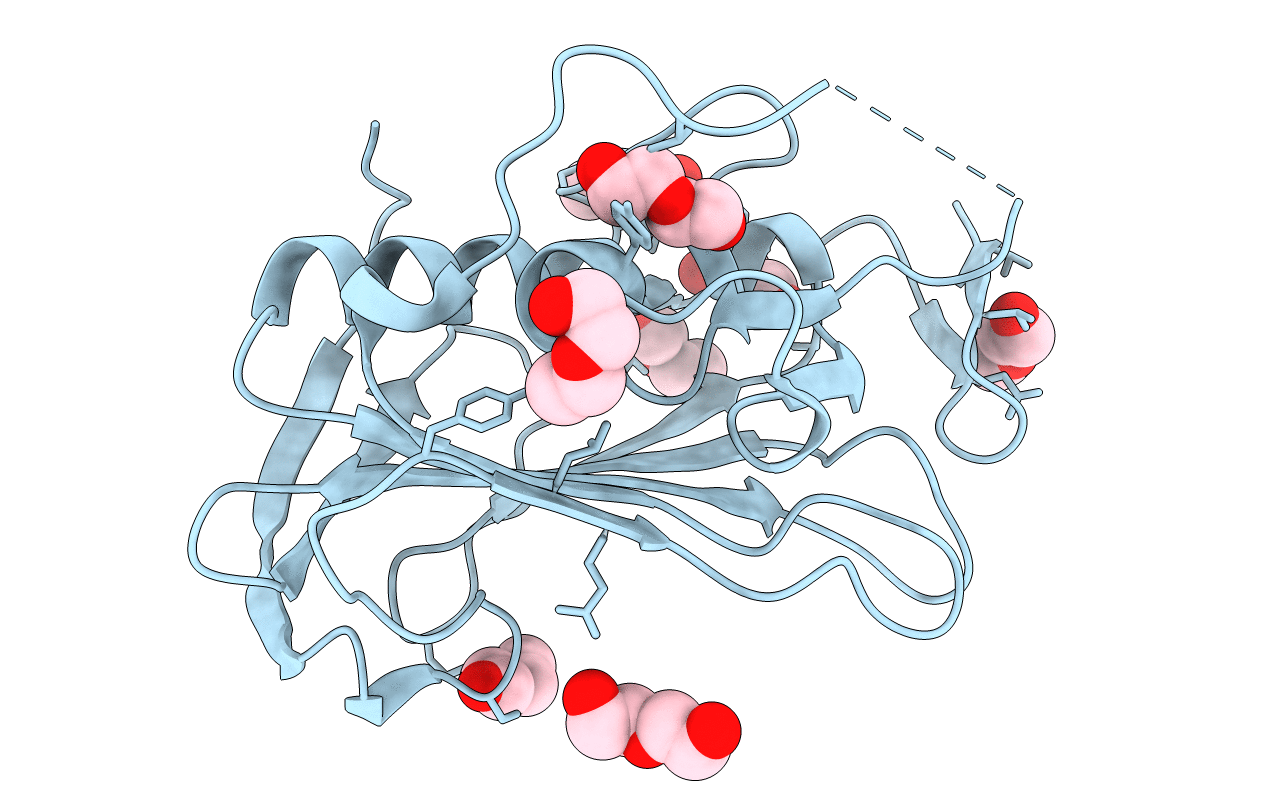 2XGR image