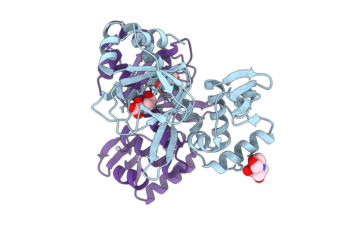 2XGX image