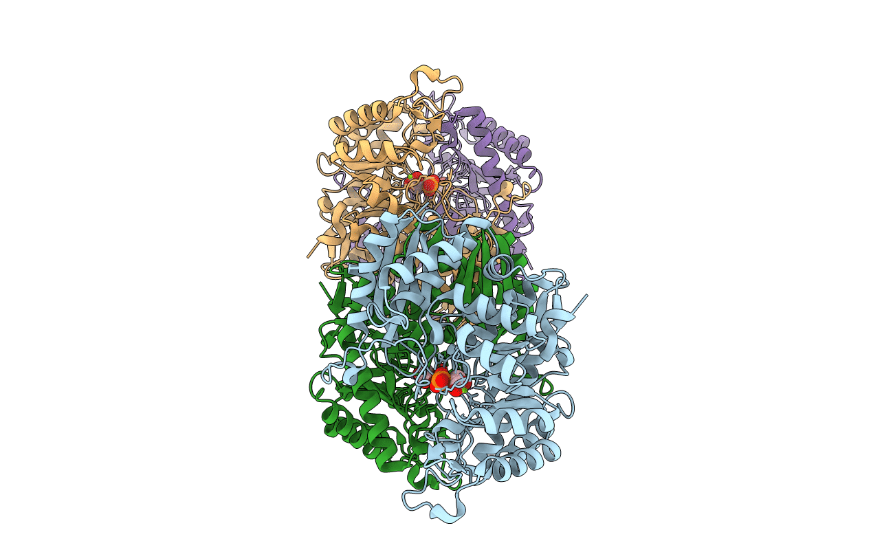 2XH0 image