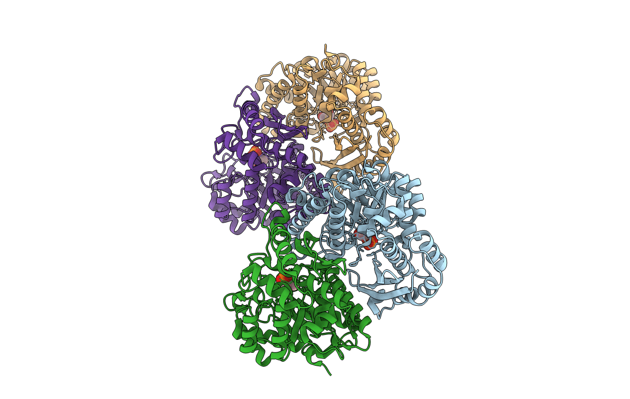 2XH2 image