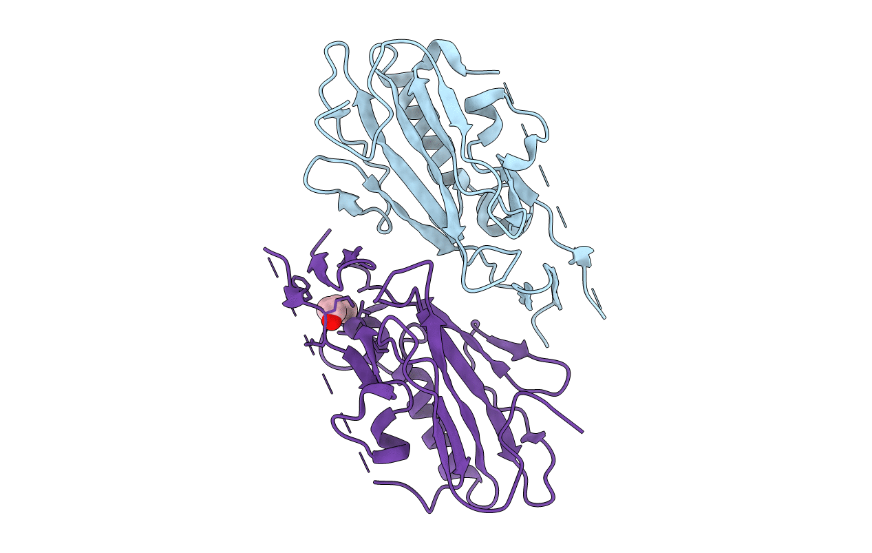 2XH3 image
