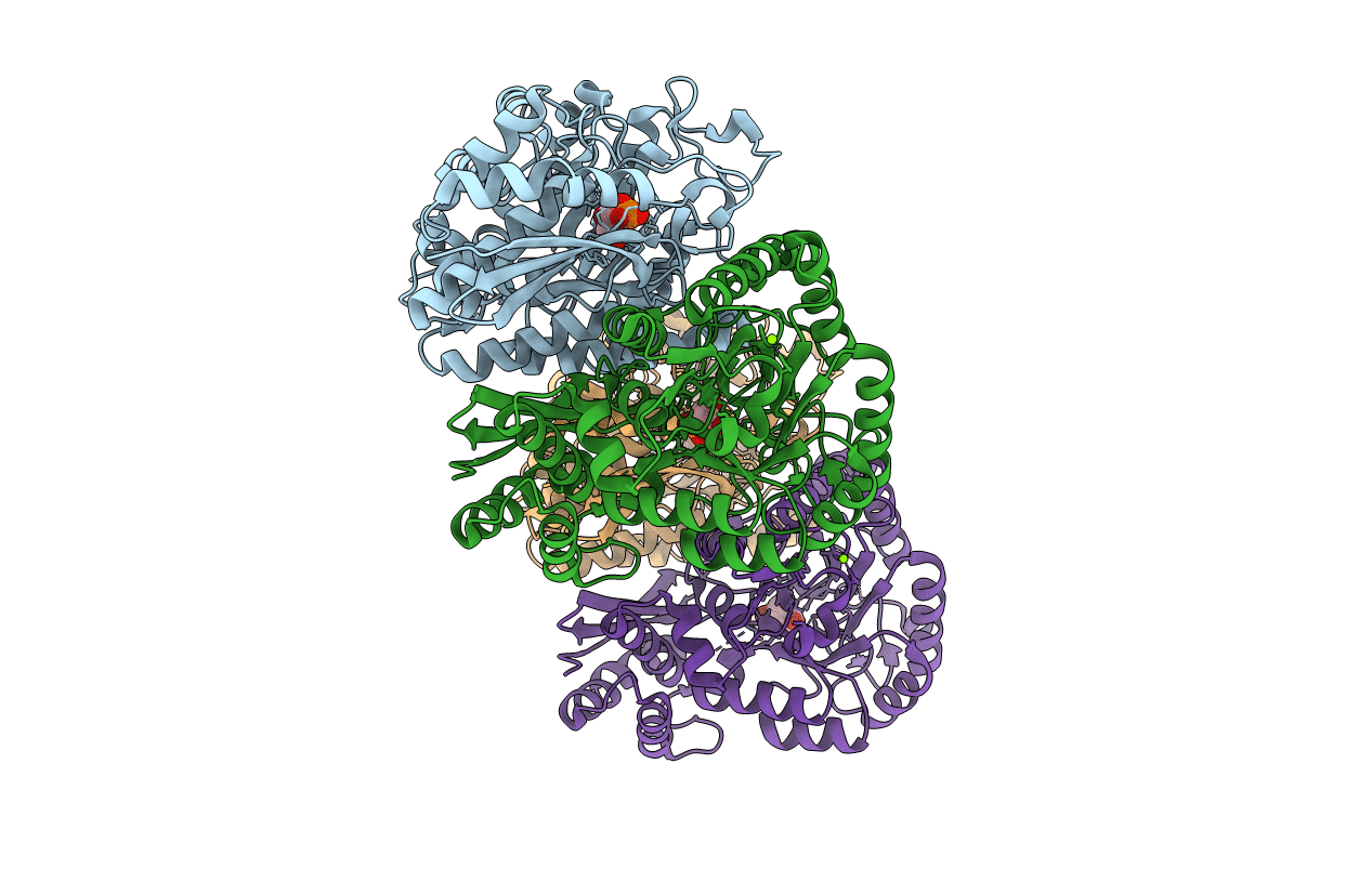 2XH4 image