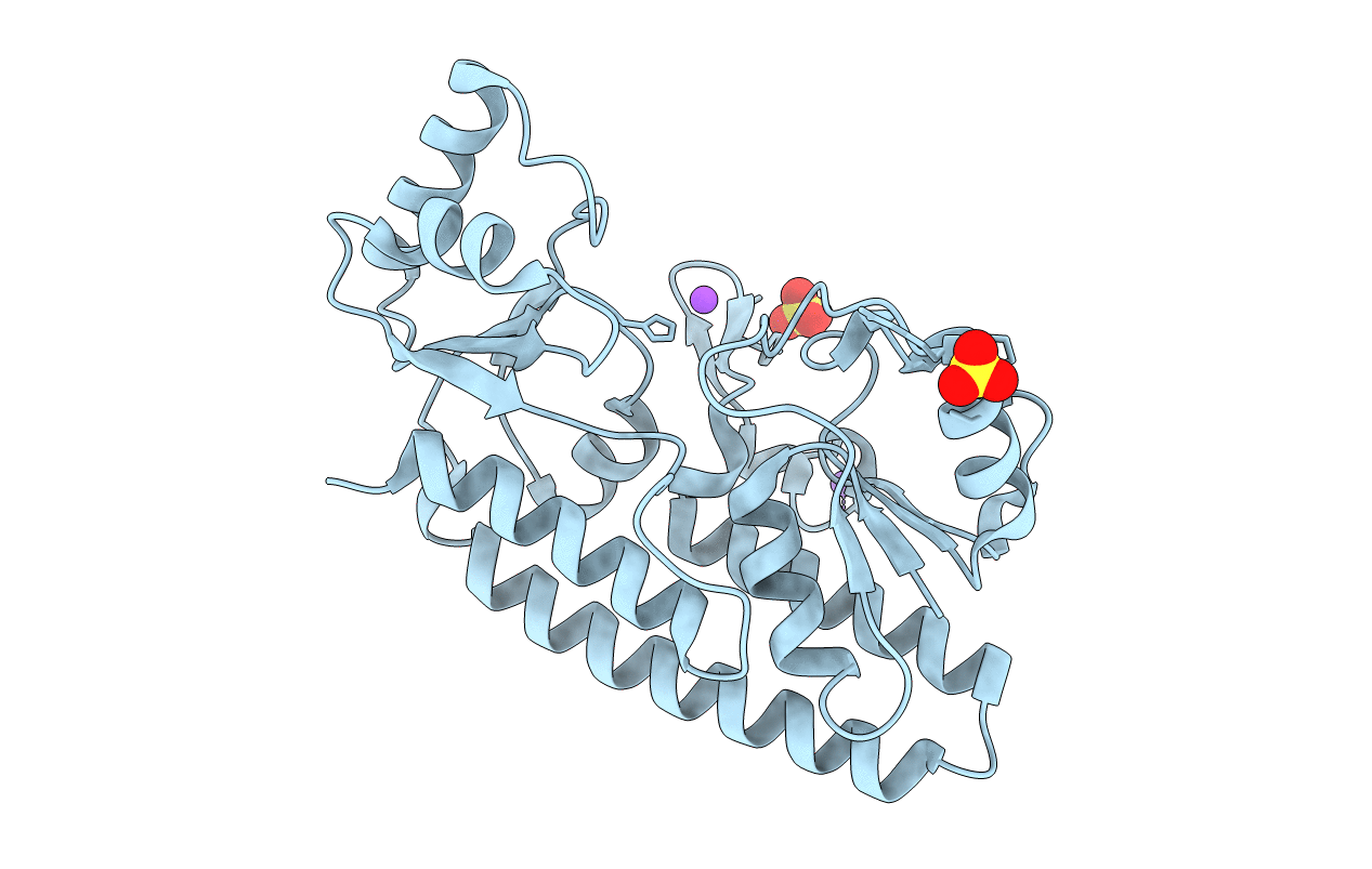 2XH8 image