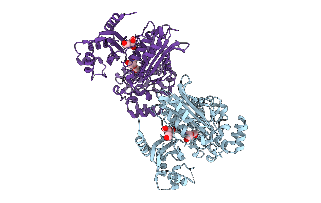 2XH9 image