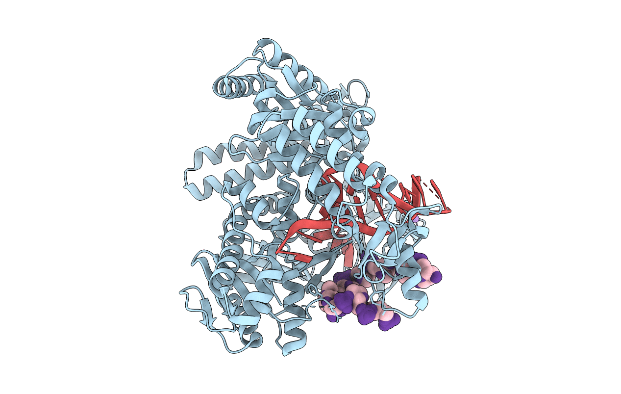 2XHB image
