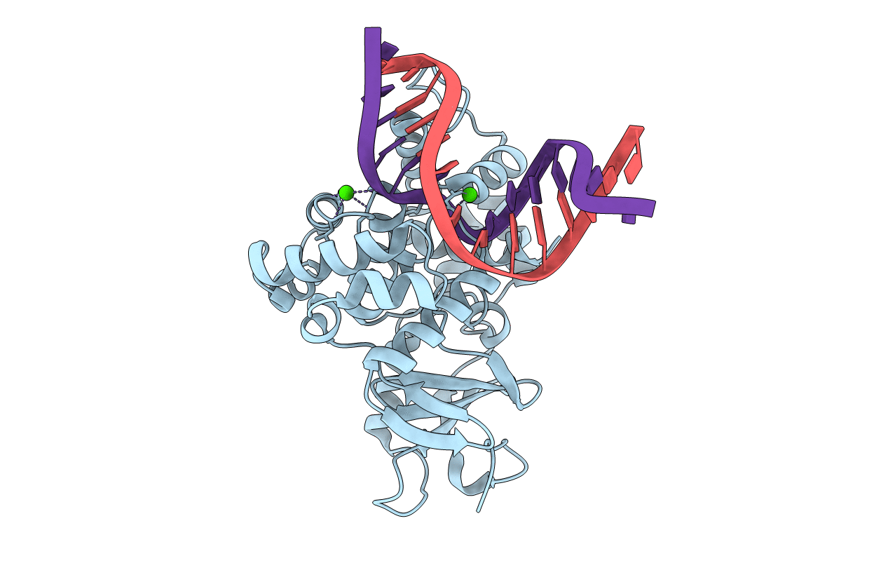 2XHI image