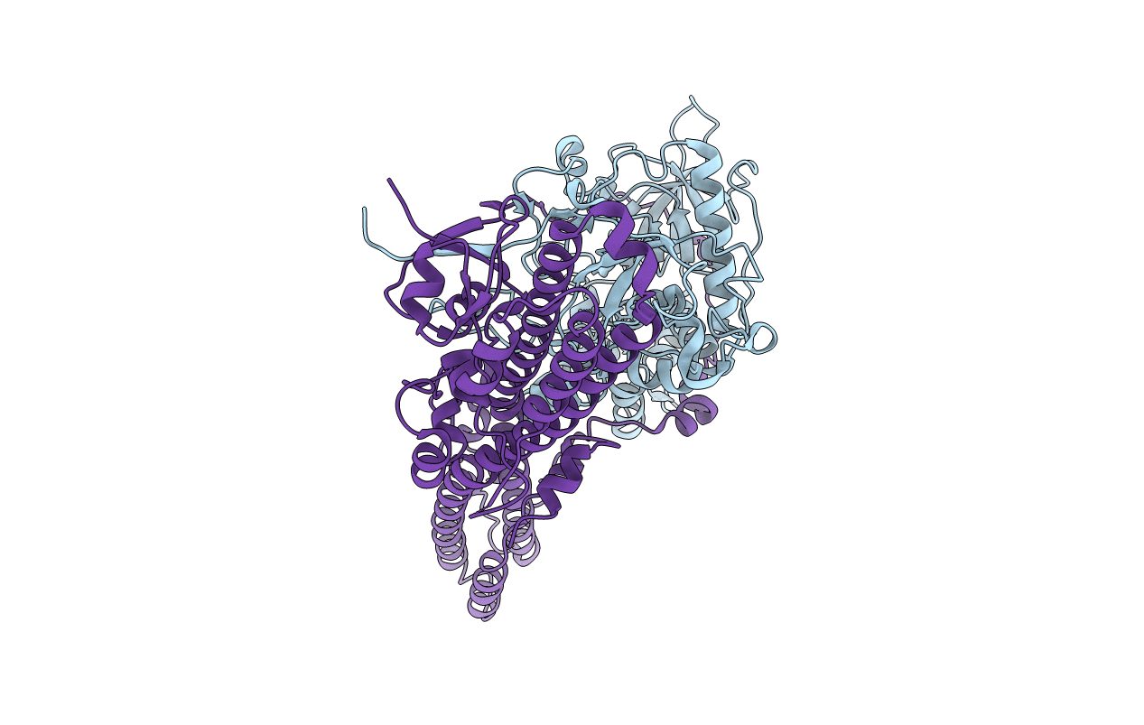 2XHL image
