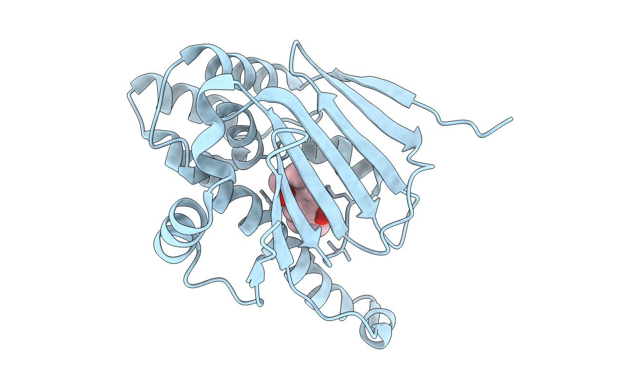2XHT image