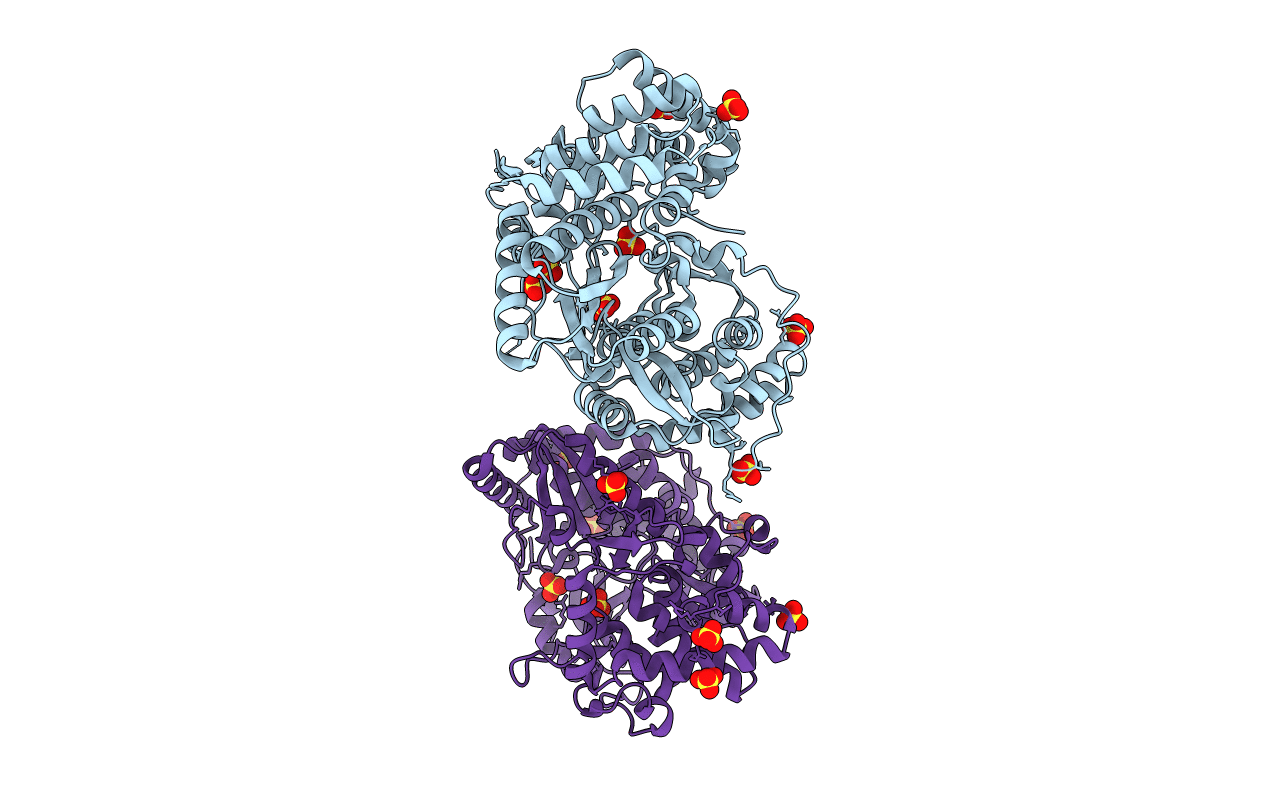 2XHU image