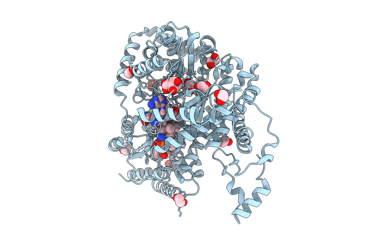 2XIJ image