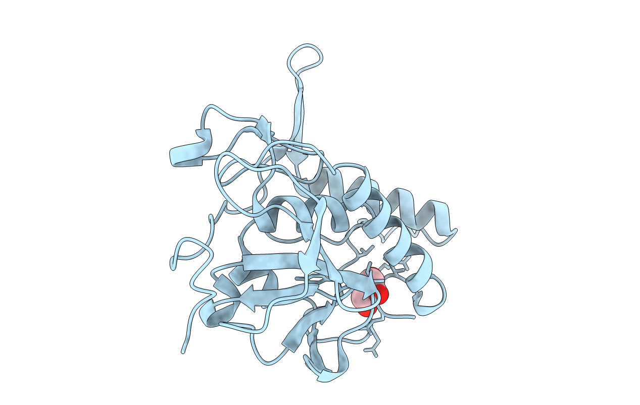 2XIV image