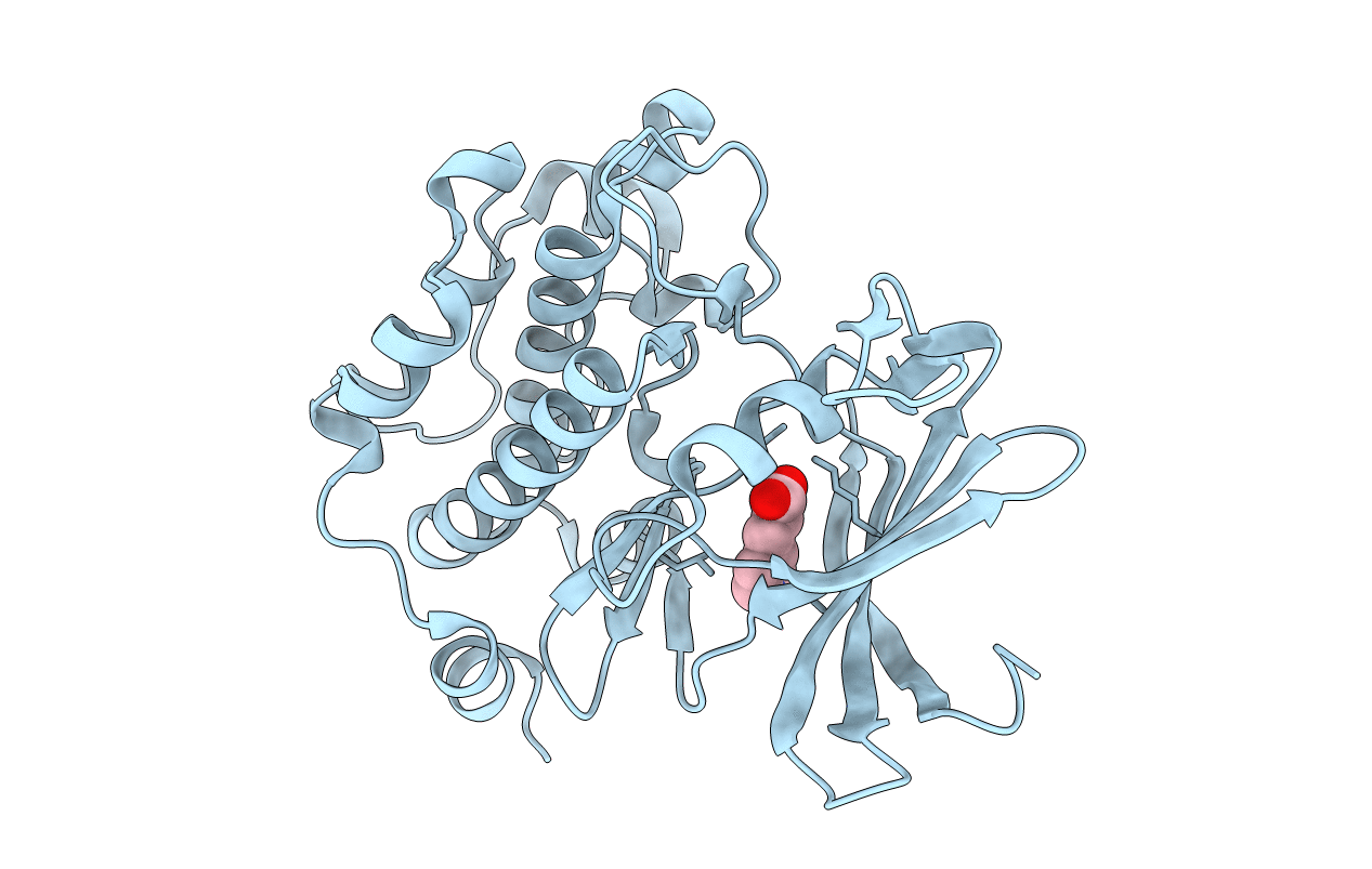 2XIZ image