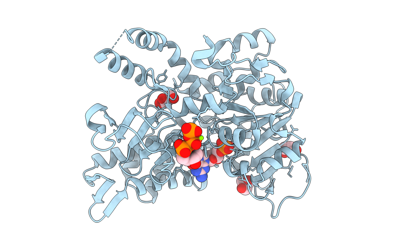 2XJB image