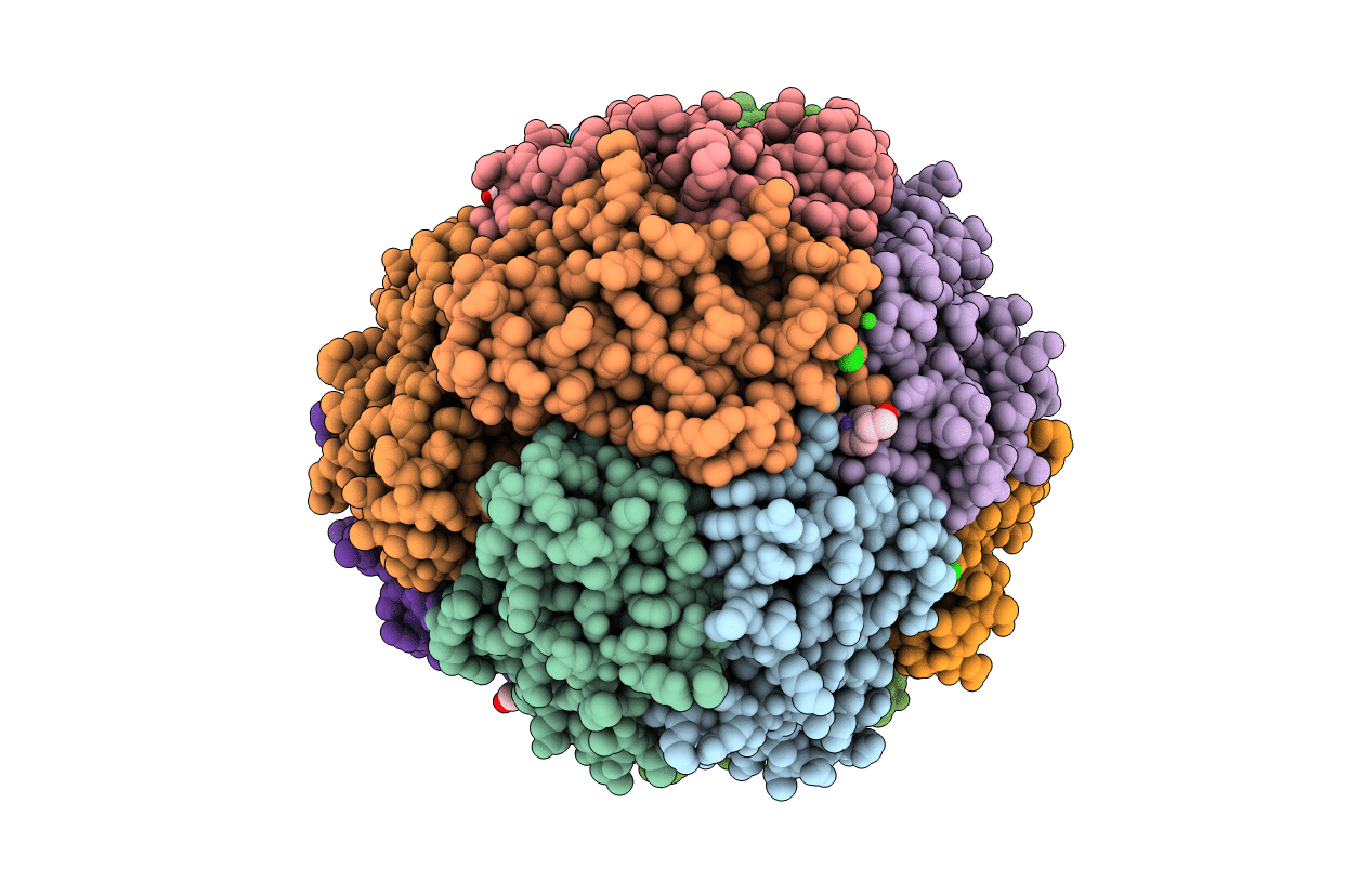 2XJN image