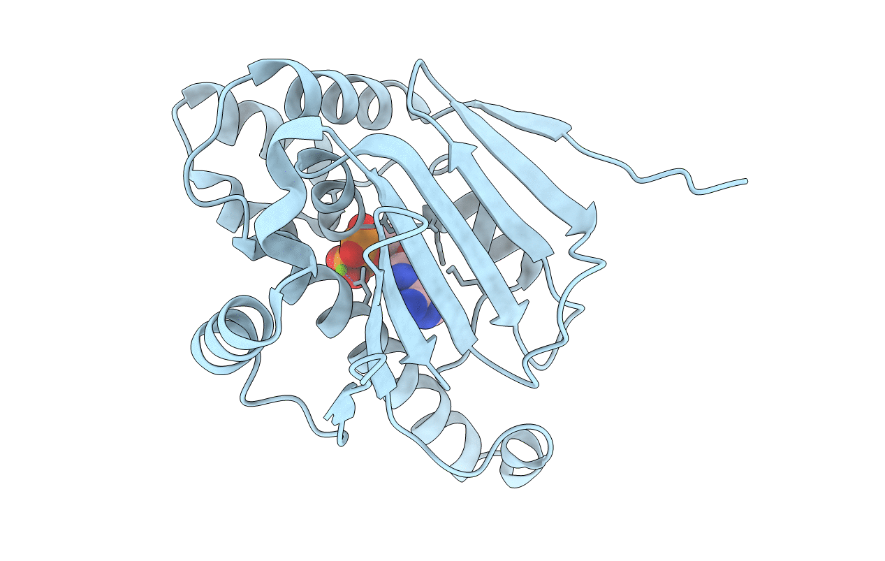 2XK2 image