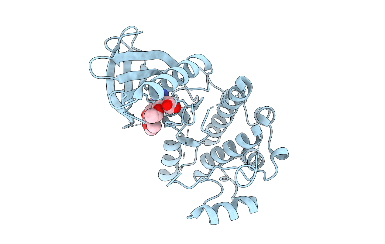 2XK4 image