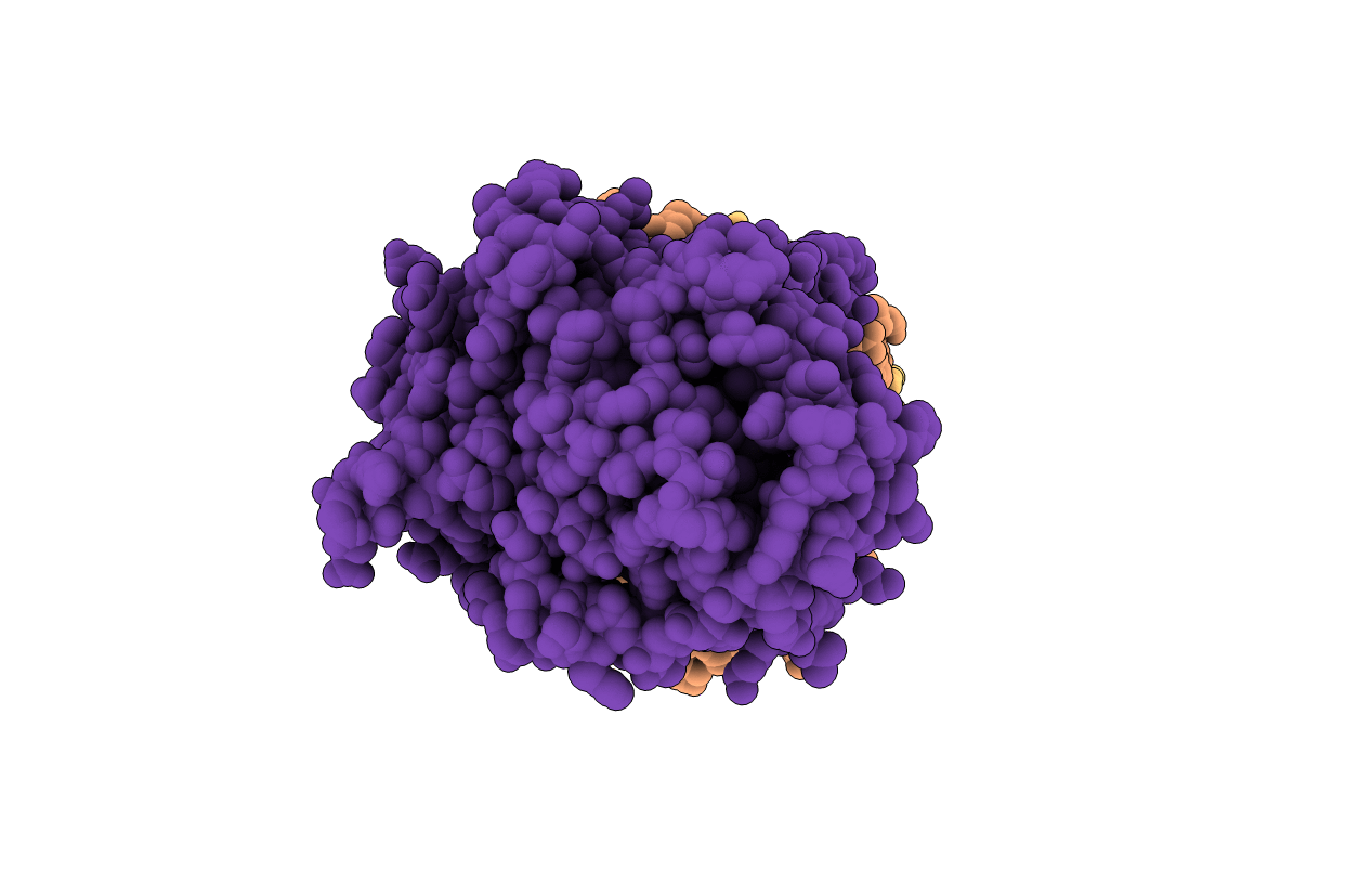 2XKA image