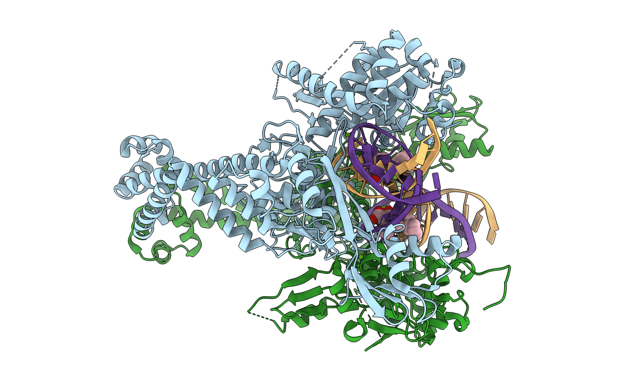 2XKK image