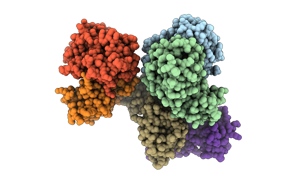 2XKP image