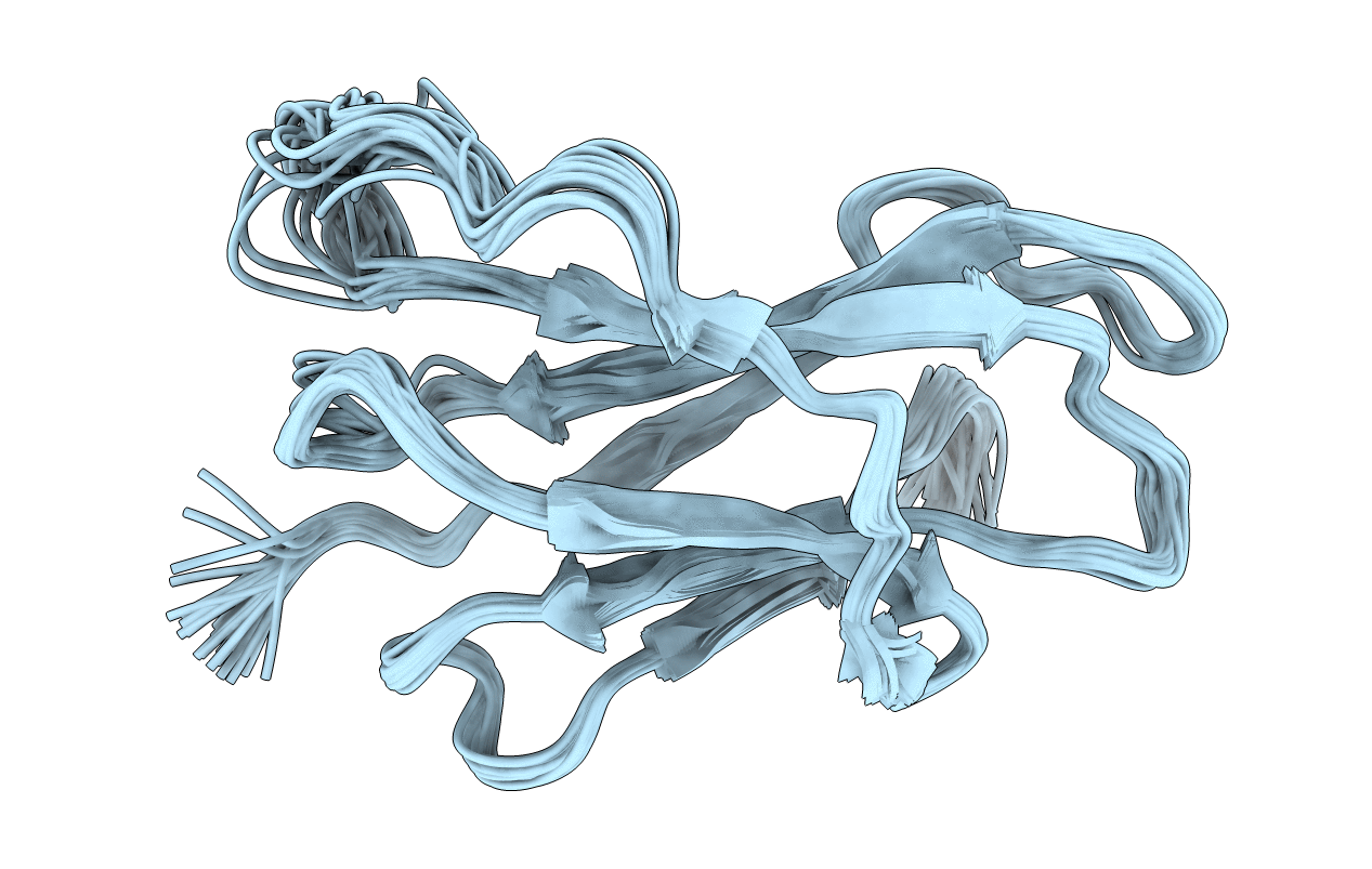2XKS image