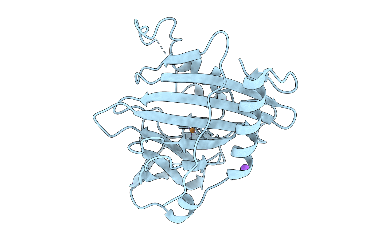 2XLG image