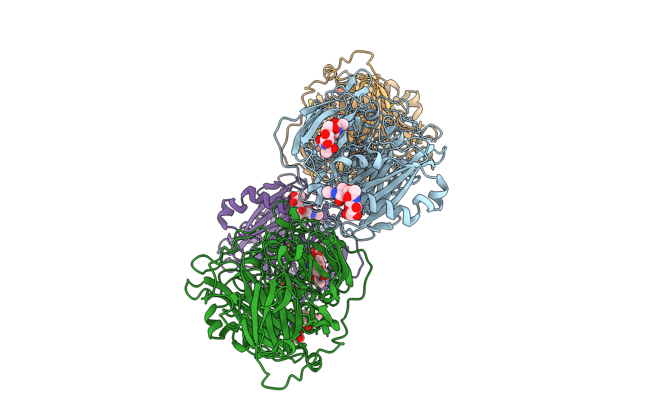 2XLL image