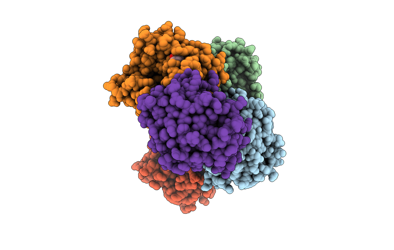 2XMH image