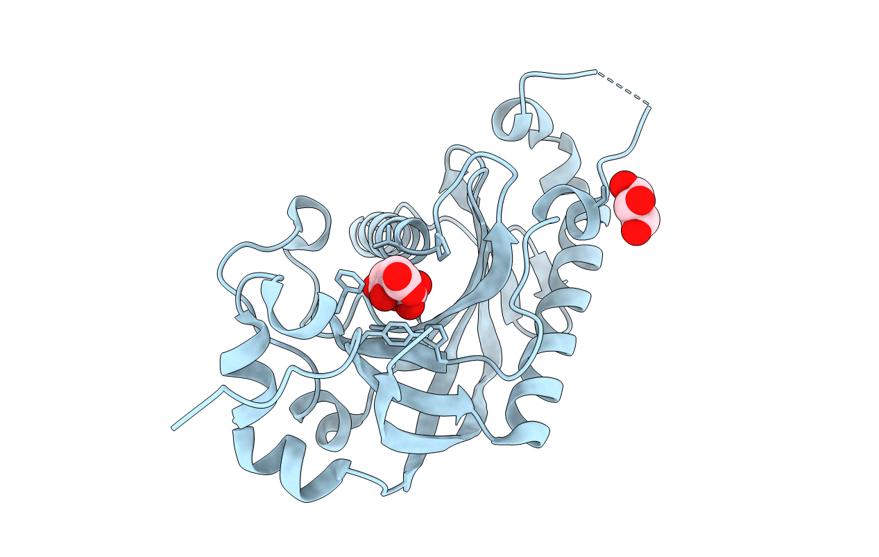 2XMI image
