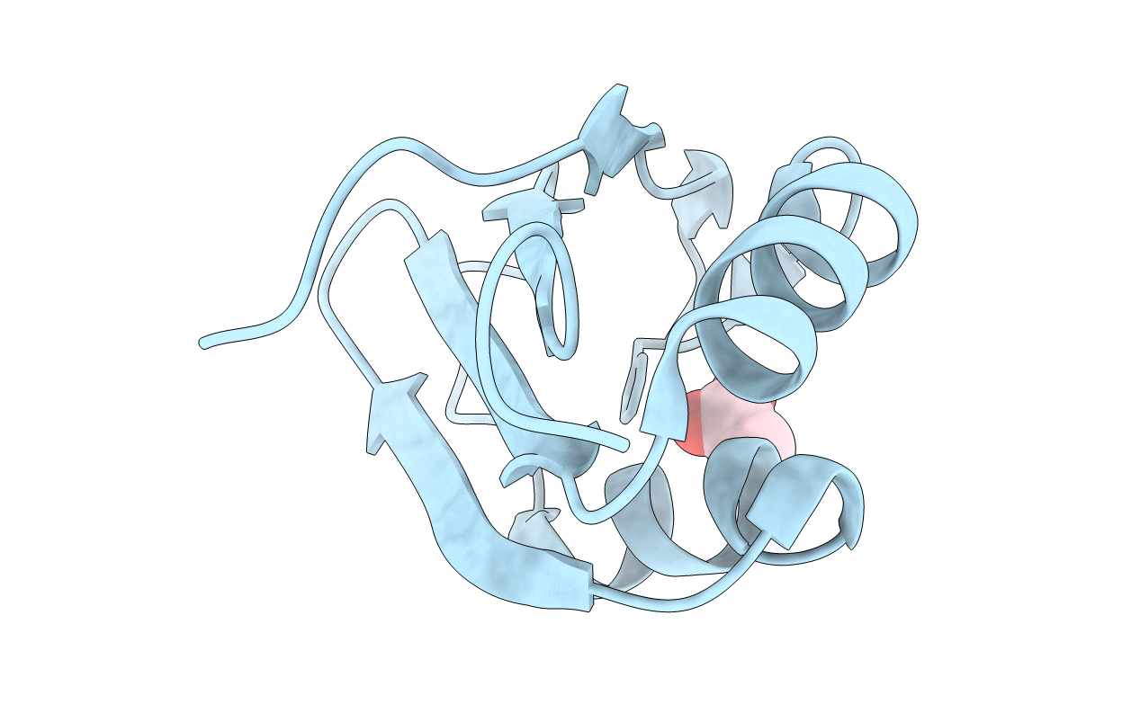 2XNQ image