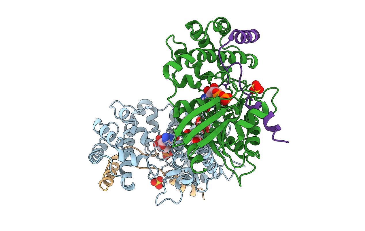 2XNS image