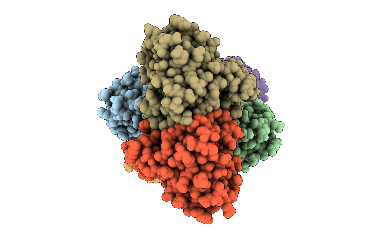 2XPD image