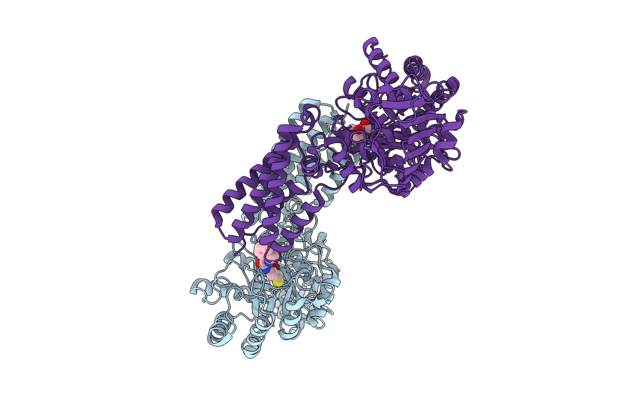 2XPK image