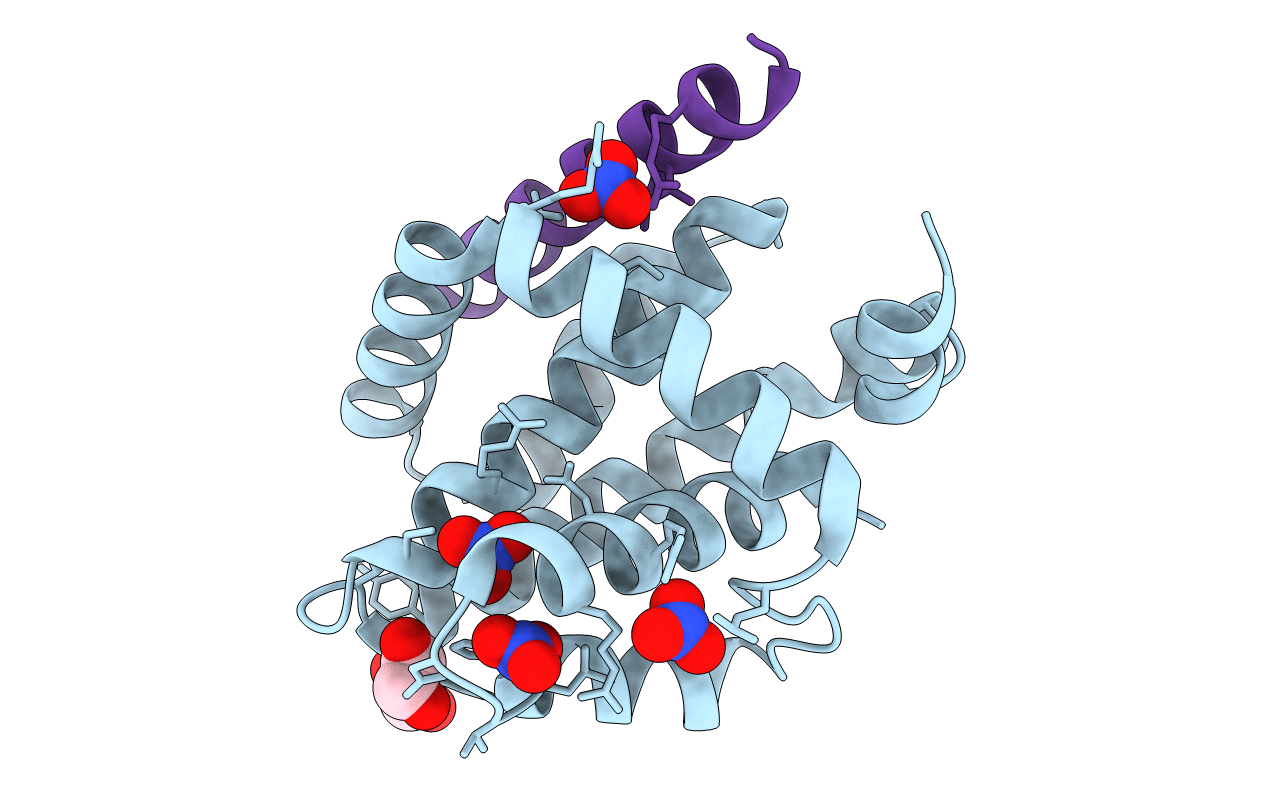 2XPX image