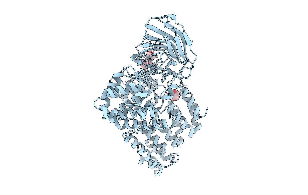 2XPZ image