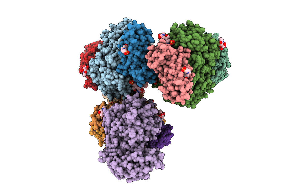 2XQR image