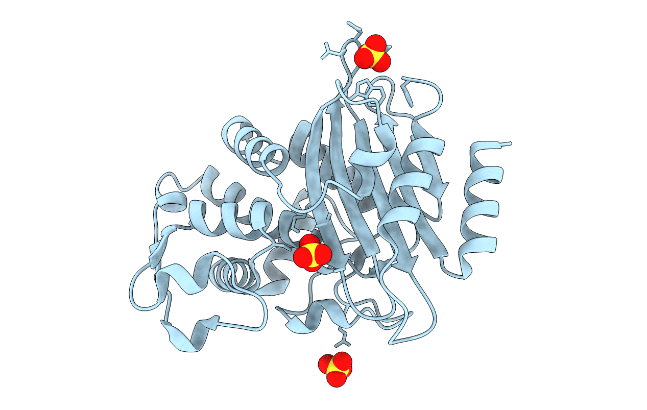 2XR0 image