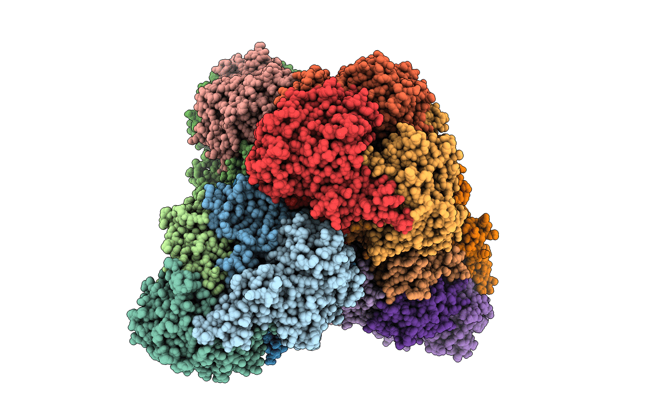 2XRX image
