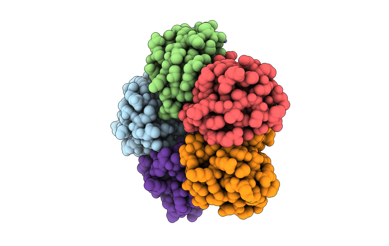 2XSC image