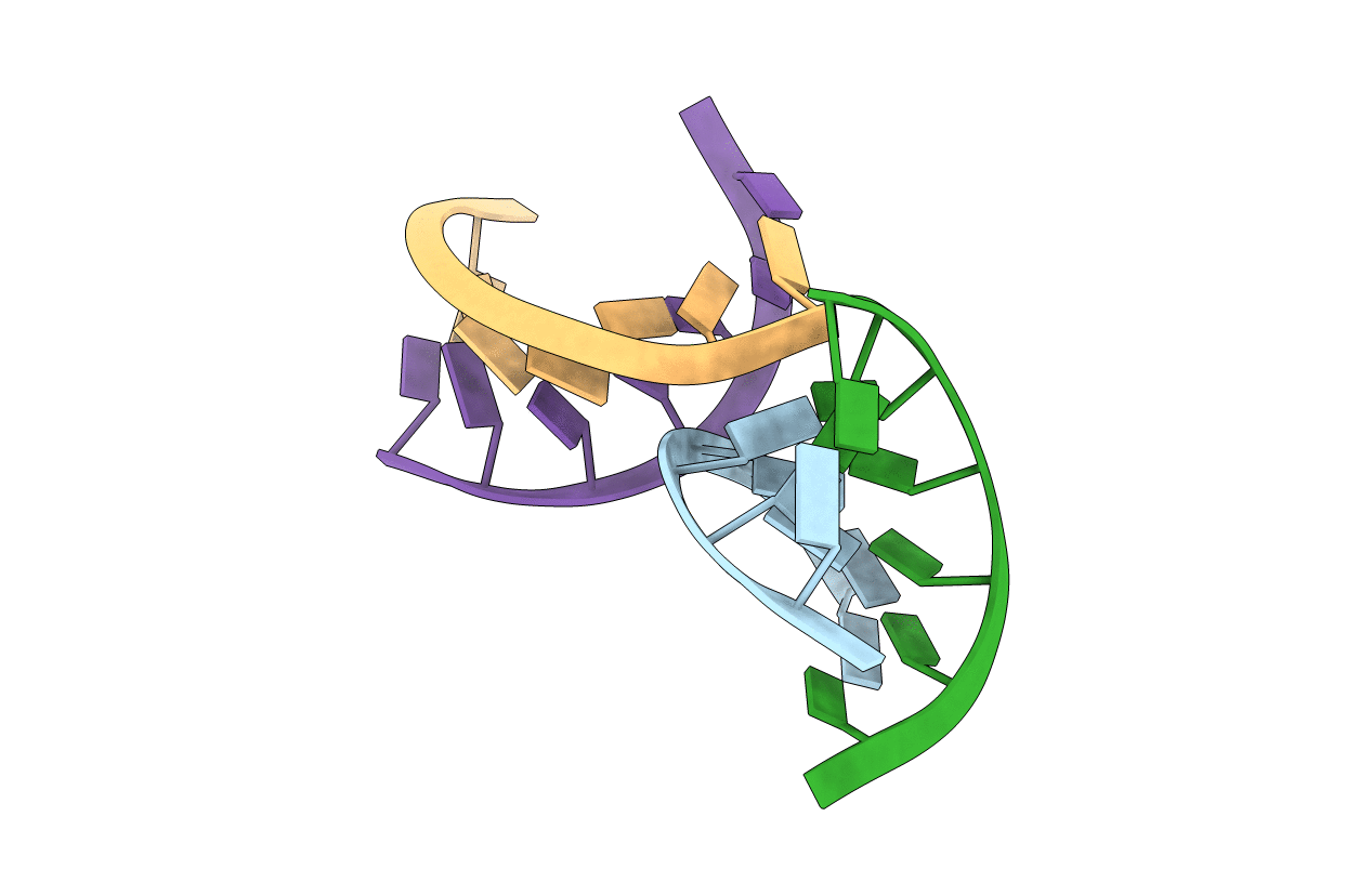 2XSL image